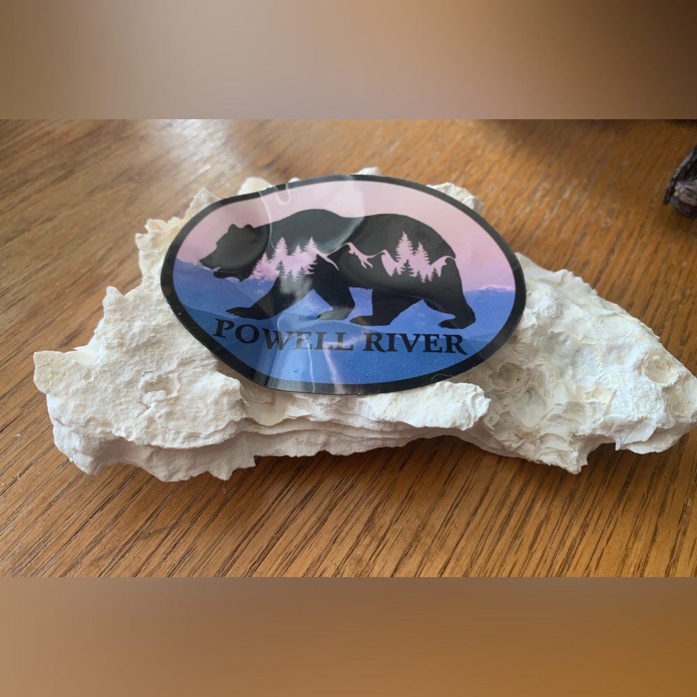LARGE SHELL WITH POWELL RIVER STICKER